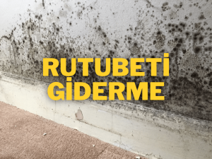 Duvar Rutubeti Giderme Rehberi