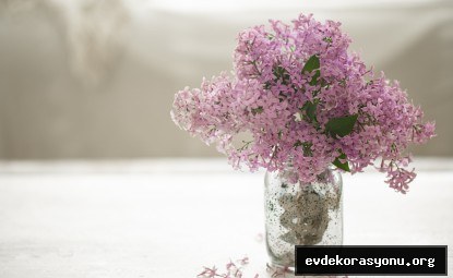Ağustos ayında saksıya ekilmiş renkli çiçekler ve yeşil bitkiler, balkon ve iç mekan için ideal seçimler